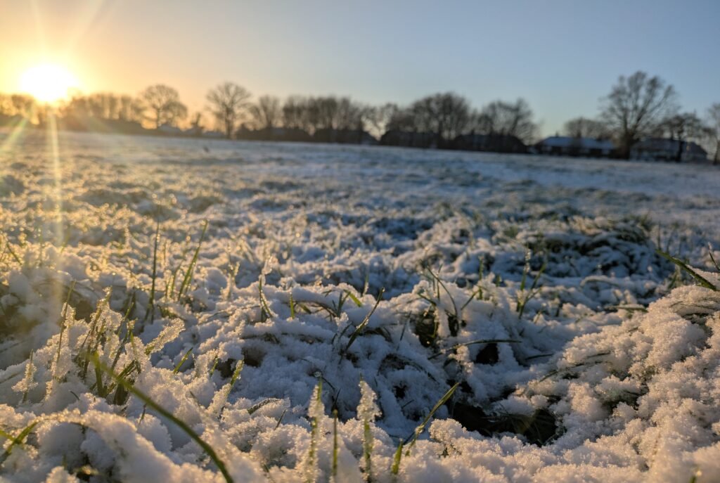 Sun rising on Swanshurst Park
