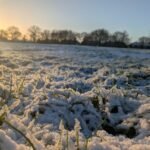 Sun rising on Swanshurst Park