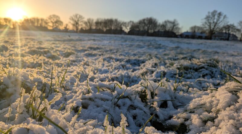 Sun rising on Swanshurst Park